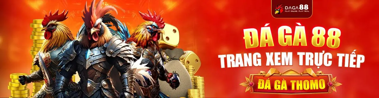 Đá Gà Trực Tuyến baowin app