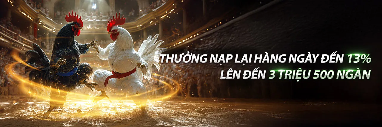 Sân vận động thể thao với các hoạt động cá cược sôi động tại baowin app
