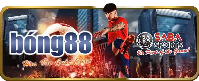 Tải ứng dụng baowin app